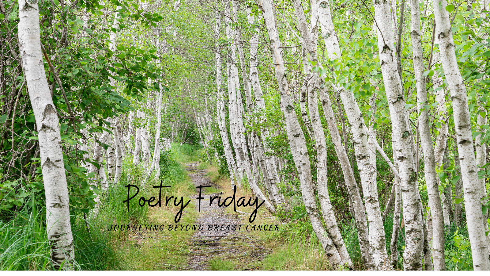 Poetry Friday Journeying Beyond pic